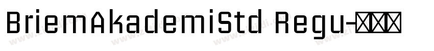 BriemAkademiStd Regu字体转换